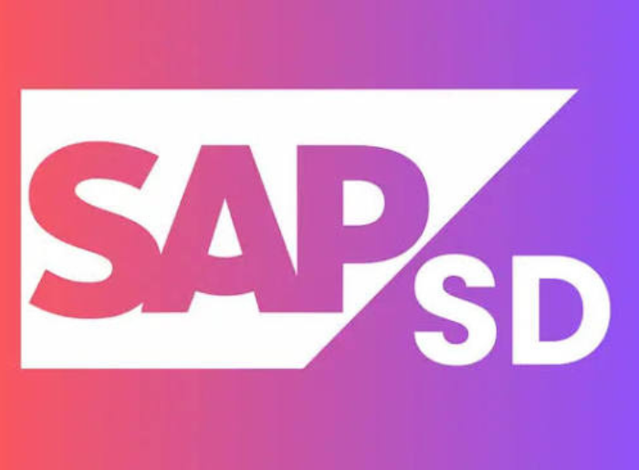  SAP FICO Training Mumbai
